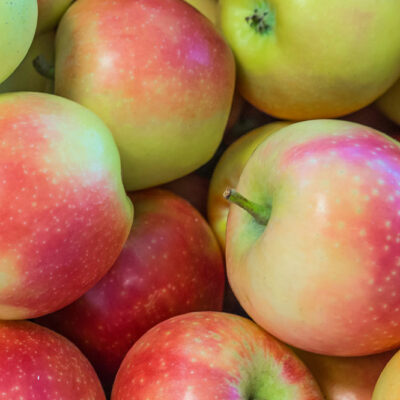 Foods to eat for better lung health