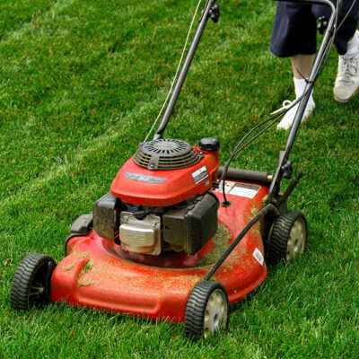 6 tips for maintaining a lush green lawn
